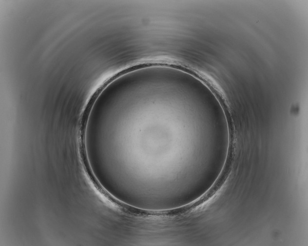 X0000090630989200707241148