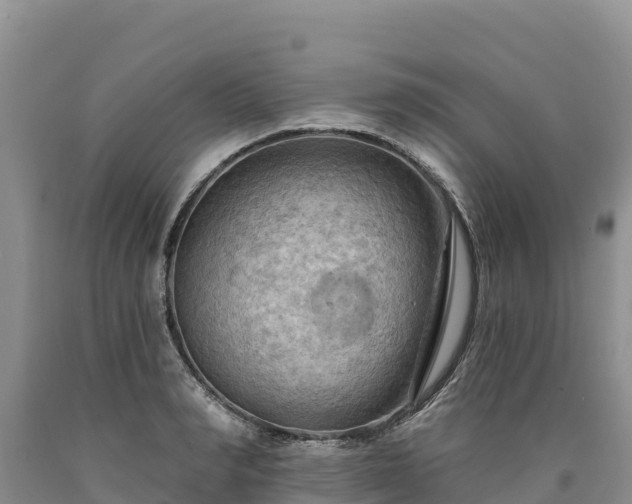 X0000090630990200707241148