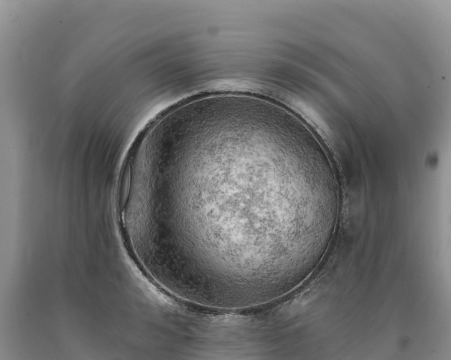X0000090630992200707241148