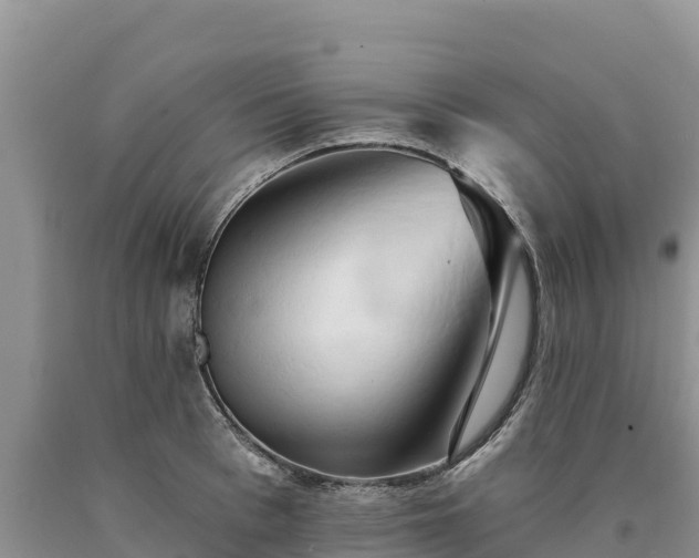 X0000090630993200707241148