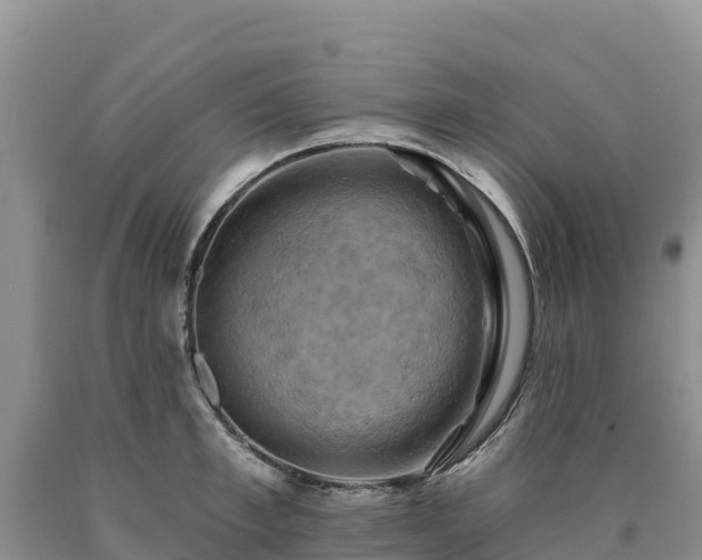 X0000090630997200707241148
