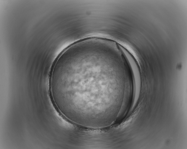 X0000090630999200707241148