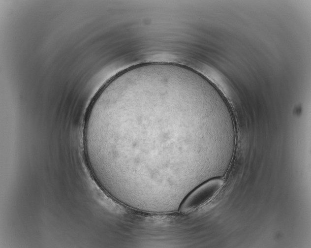 X0000090631000200707241148