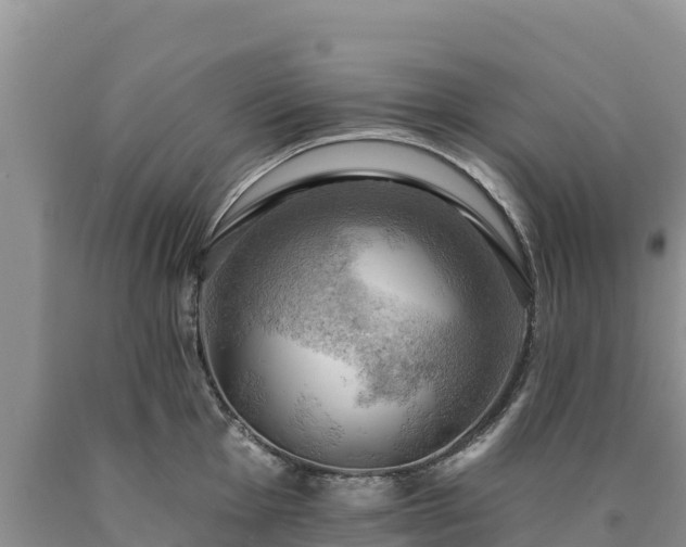X0000090631001200707241148