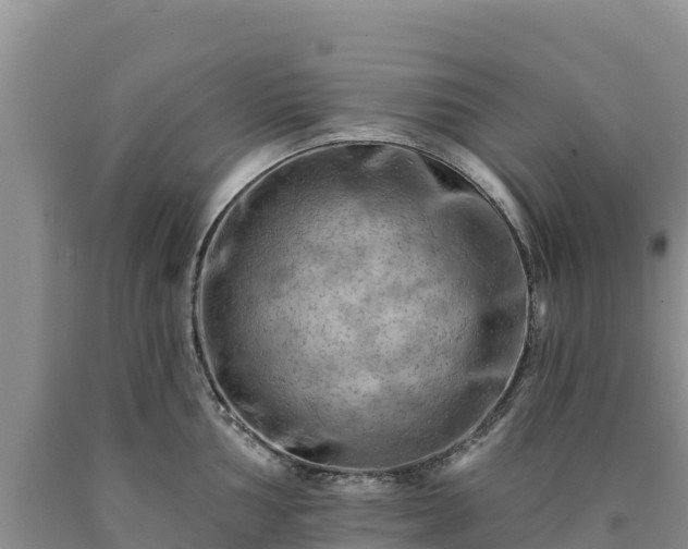 X0000090631002200707241148