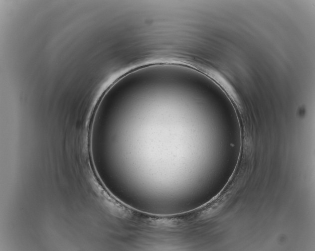 X0000090631004200707241148
