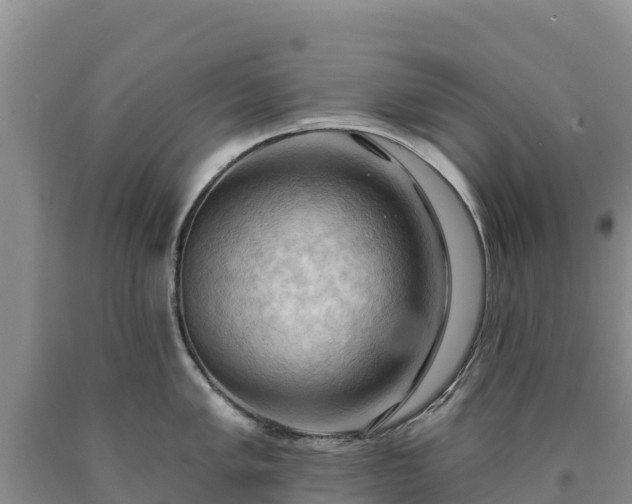 X0000090631005200707241148