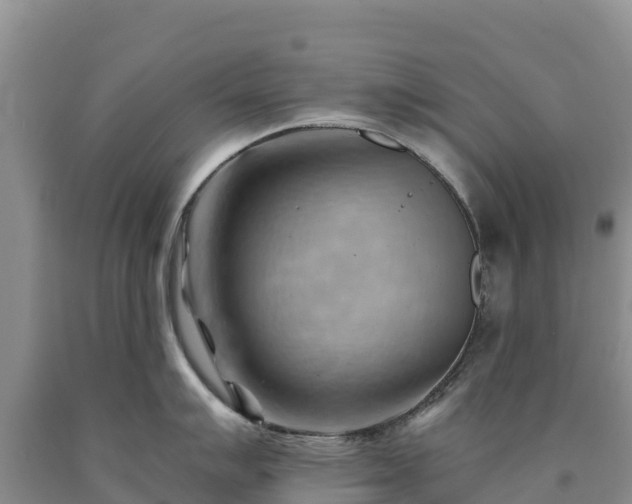 X0000090631007200707241148