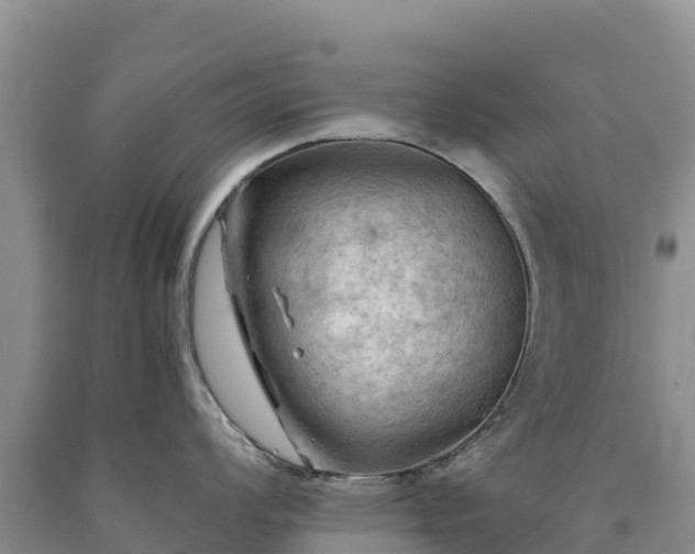 X0000090631008200707241148