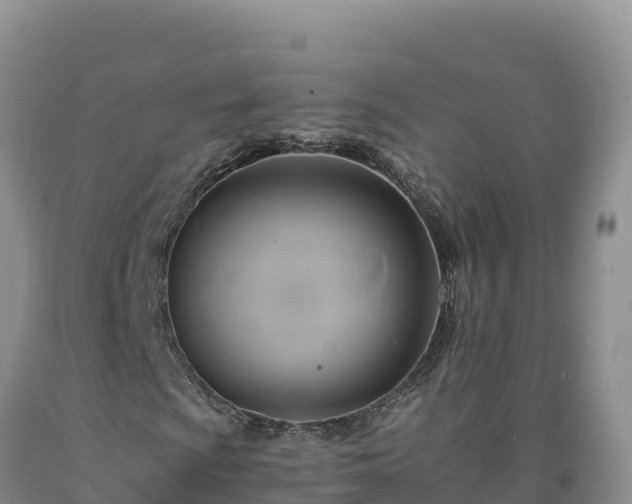 X0000090631009200707241147