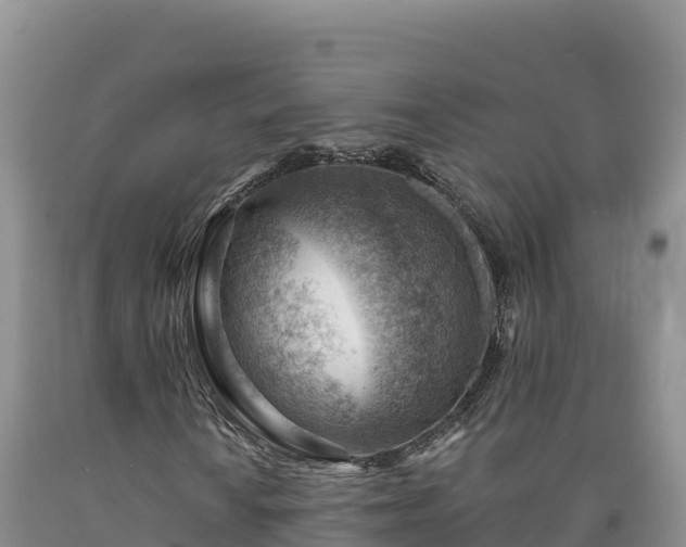 X0000090631010200707241147
