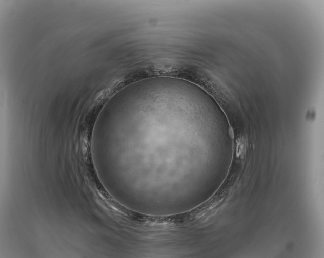 X0000090631011200707241147