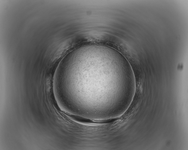 X0000090631012200707241147