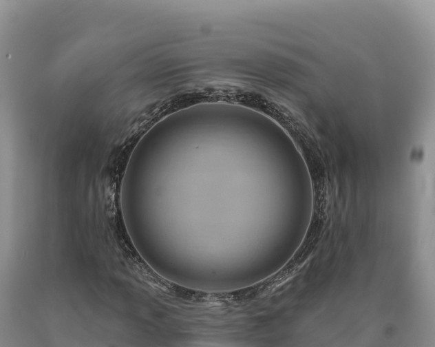 X0000090631013200707241147