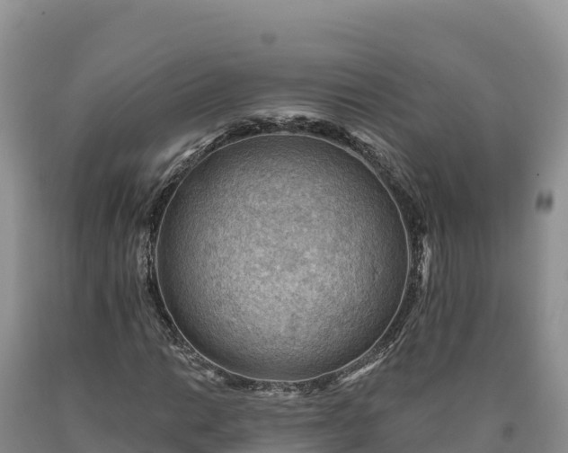 X0000090631014200707241147