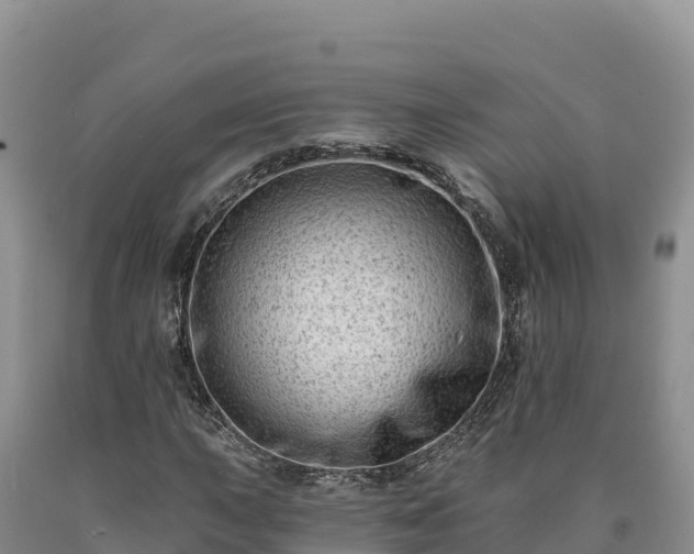 X0000090631015200707241147