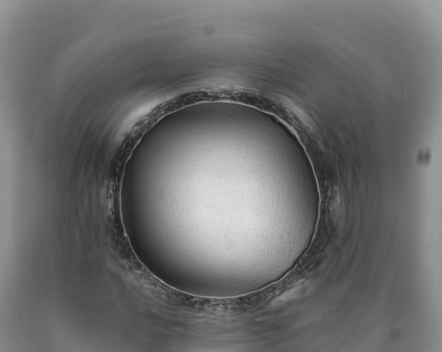 X0000090631016200707241147