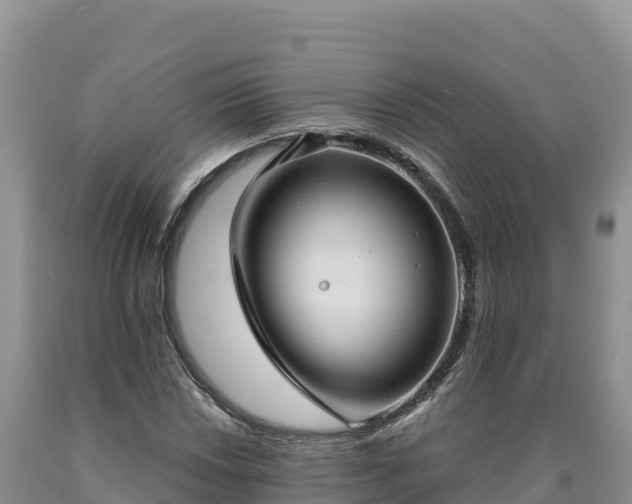 X0000090631018200707241147
