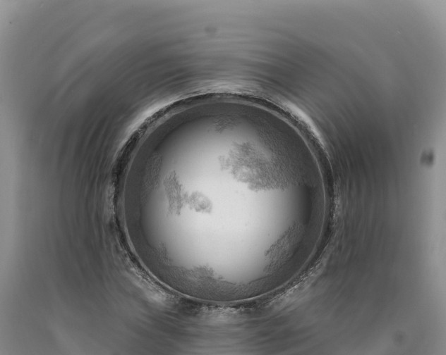 X0000090631019200707241147