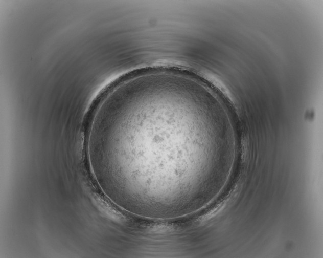 X0000090631021200707241148