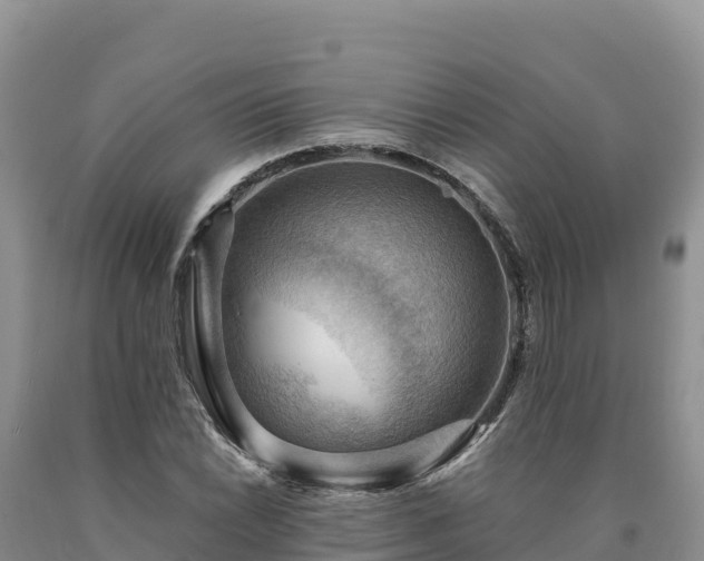 X0000090631022200707241148