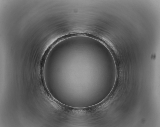 X0000090631023200707241148