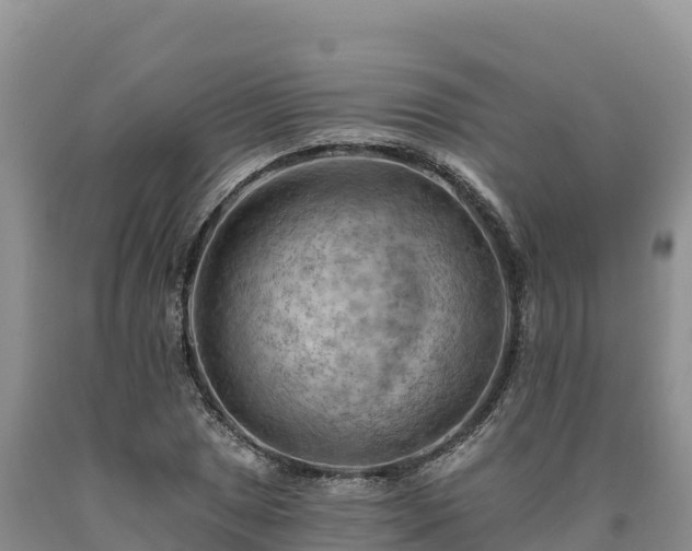 X0000090631025200707241148
