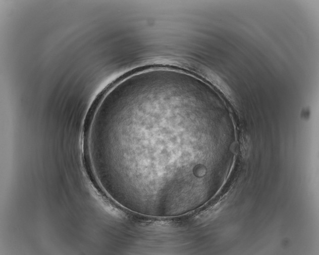 X0000090631028200707241148