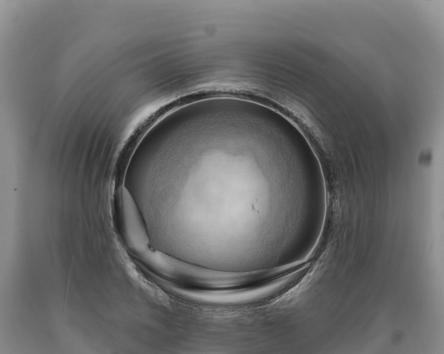 X0000090631030200707241148