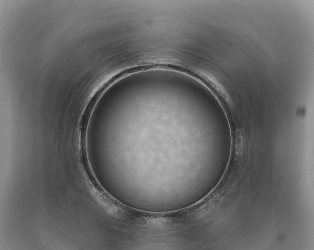 X0000090631031200707241148