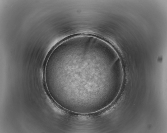 X0000090631032200707241148
