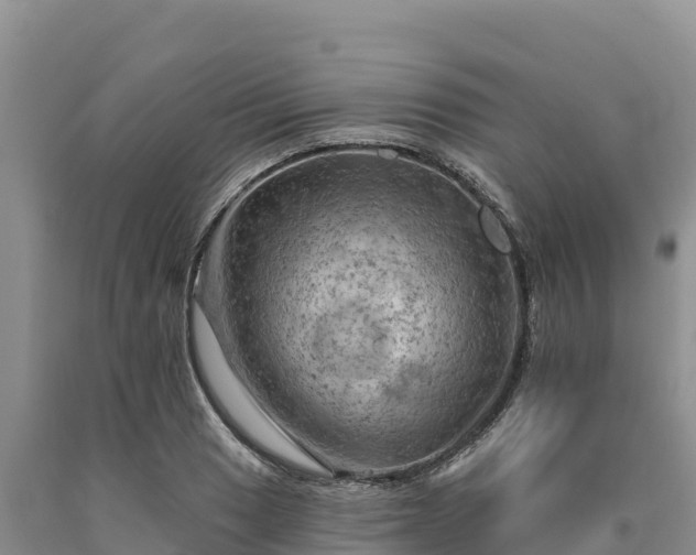 X0000090631033200707241148
