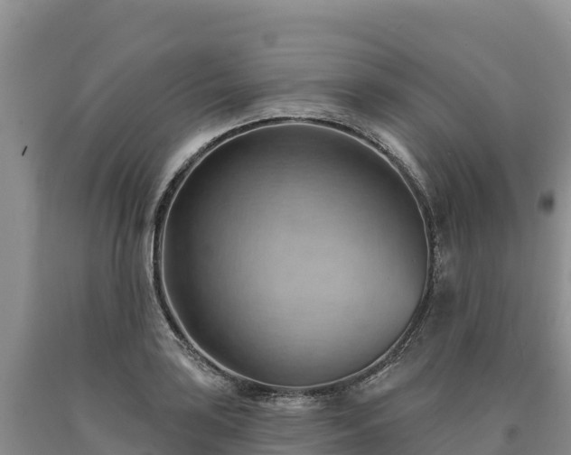X0000090631035200707241148