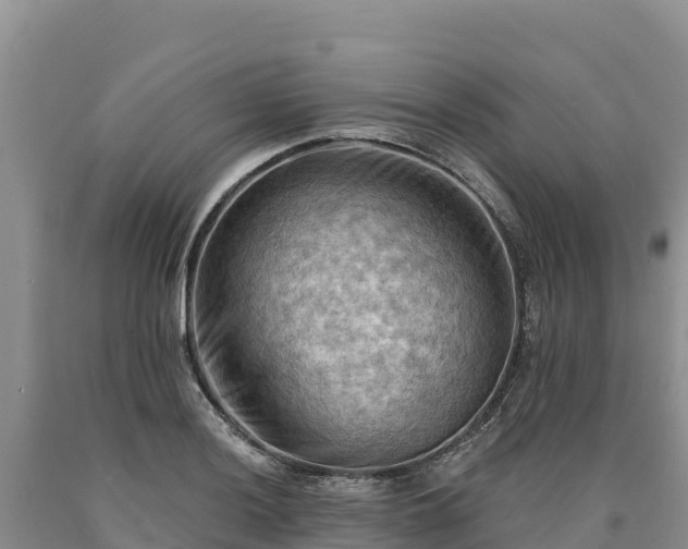 X0000090631036200707241148