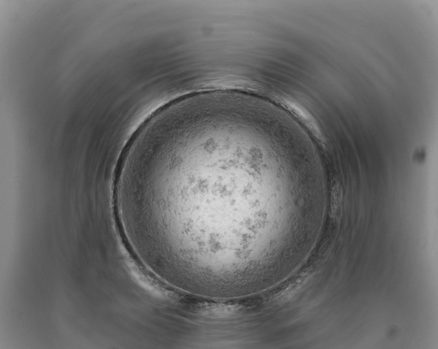 X0000090631039200707241148