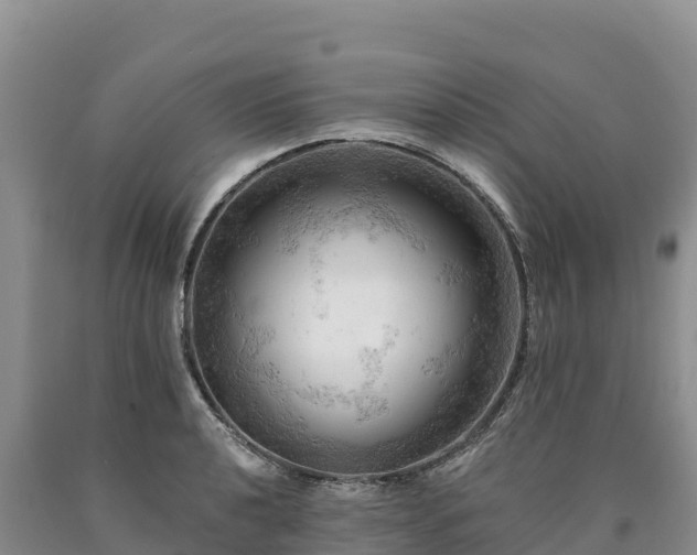 X0000090631040200707241148
