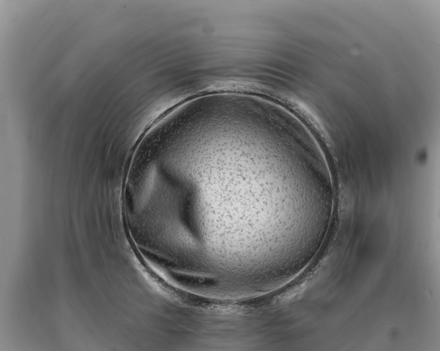 X0000090631041200707241148