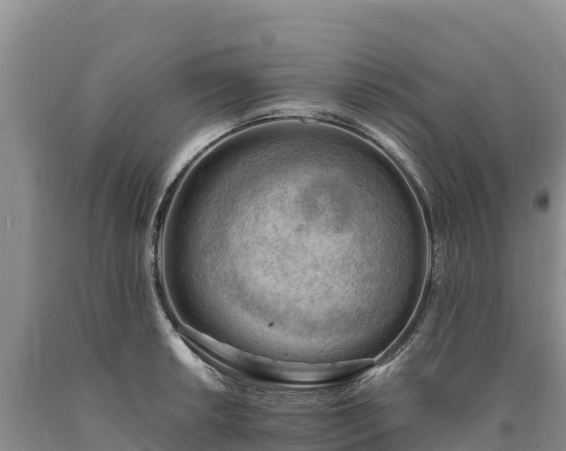 X0000090631042200707241148