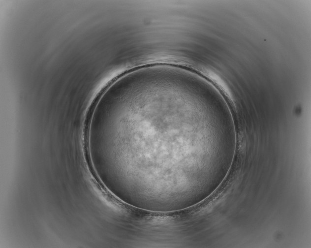 X0000090631043200707241148