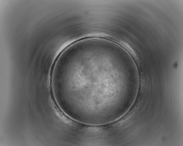 X0000090631044200707241148
