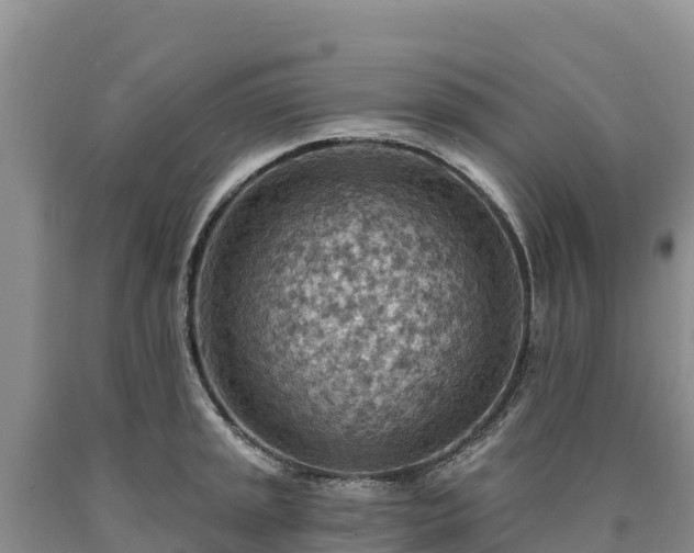 X0000090631045200707241148