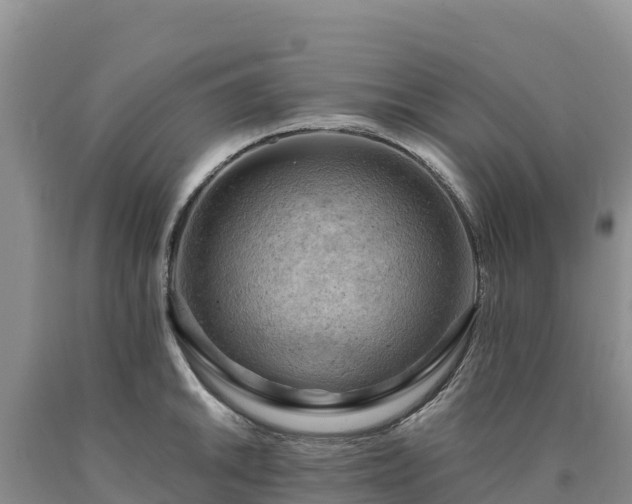 X0000090631046200707241148