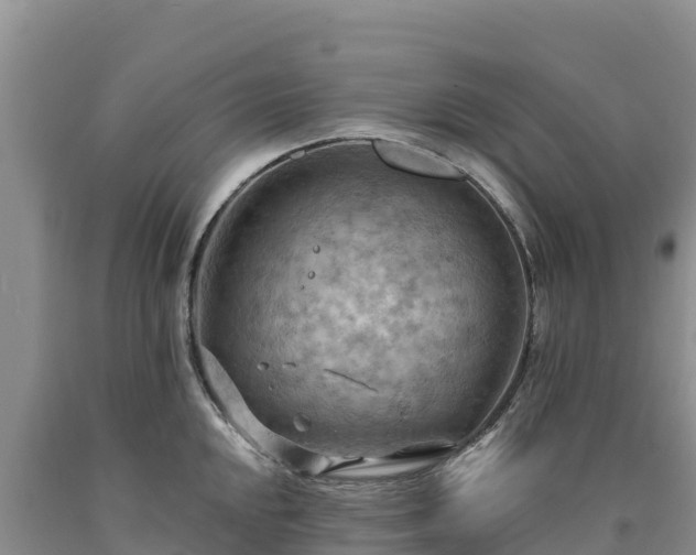 X0000090631048200707241148