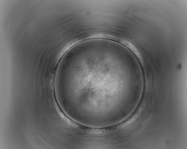 X0000090631049200707241148