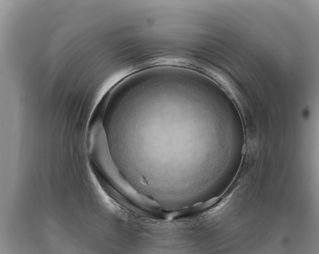 X0000090631050200707241148