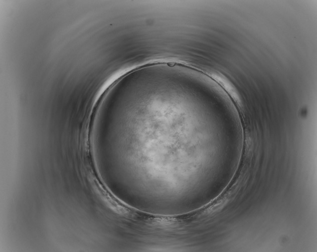 X0000090631052200707241148