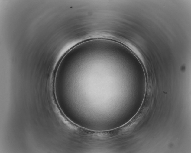X0000090631053200707241148