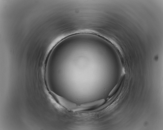 X0000090631054200707241148