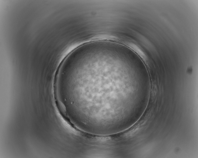 X0000090631055200707241148