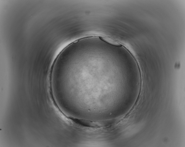 X0000090631056200707241148